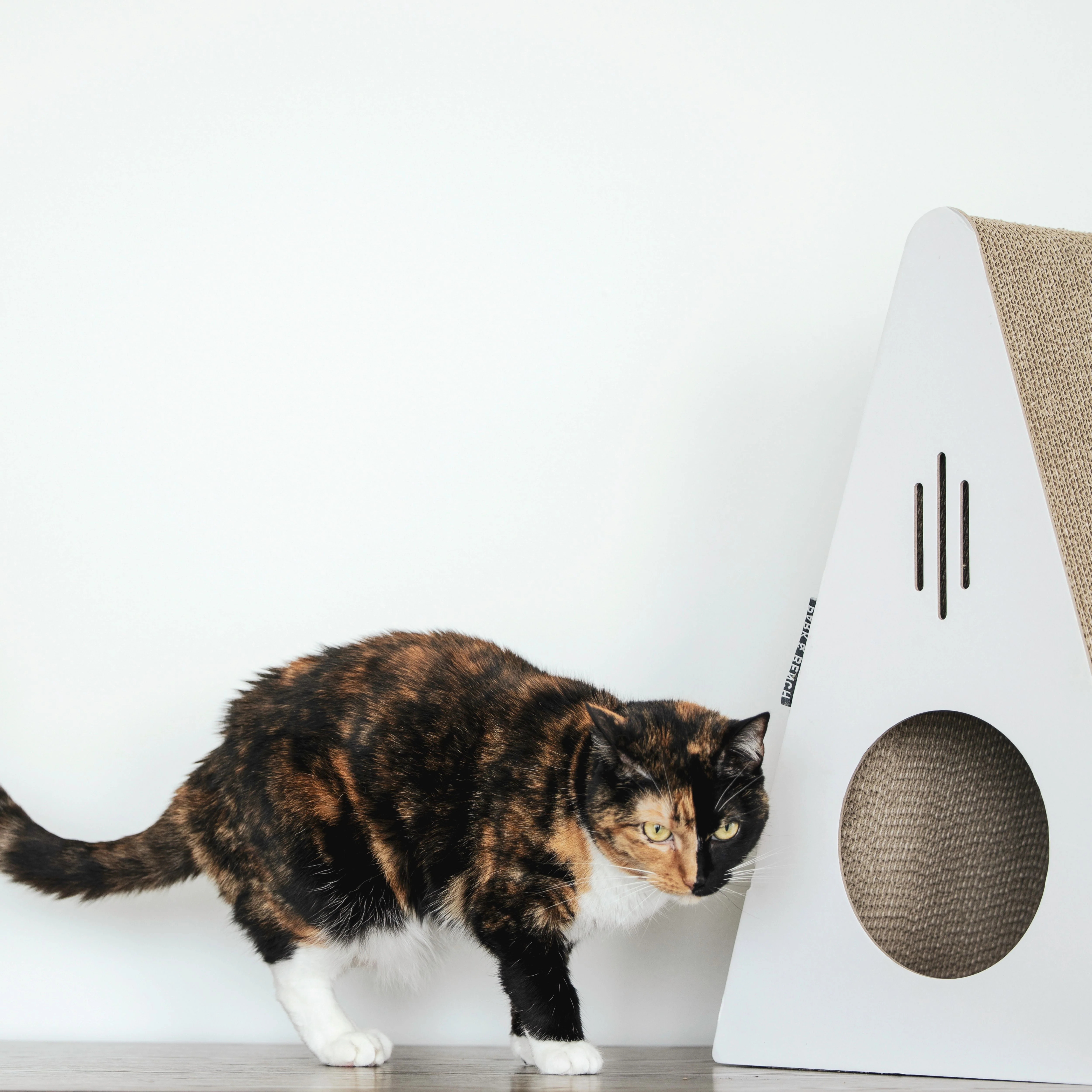 Cat Scratchers